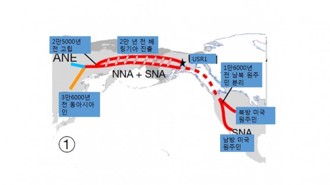 이번에 새롭게 밝혀진 미국 원주민의 이동 경로. 3만6000년 전 동아시아인이 2만5000년 전 이후 이동, 2만 년 전 베링기아를 넘었다. - 사이언스 제공